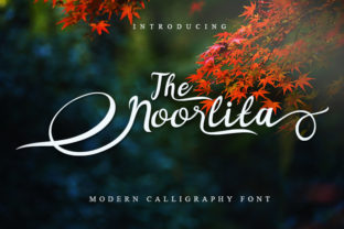 Noorlita: The Script Font That Elevates Every Brand