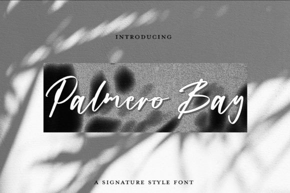 Unlocking Elegance: How Palmero Bay Transforms Your Brand Identity